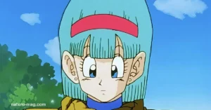 Bulma บูลม่า